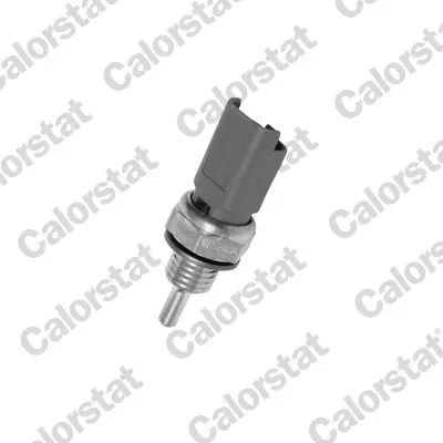 Sensor de temperatura do fluido de esfriamento WS2606 Vernet