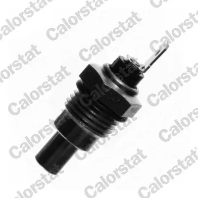 Sensor de temperatura do fluido de esfriamento WS2528 Vernet