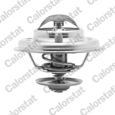Termostato TH590287J Vernet