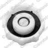 Tanque de expansão do sistema de esfriamento Renault Megane 1 LA0, LA1