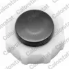 Tanque de expansão do sistema de esfriamento Renault Megane 1 LA0, LA1