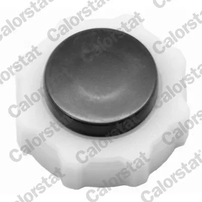 Tanque de expansão do sistema de esfriamento Renault Megane 1 LA0, LA1