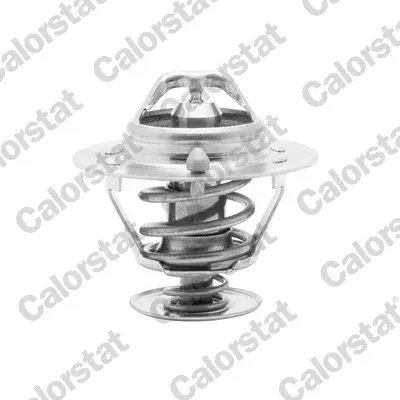 Termostato TH629482J Vernet