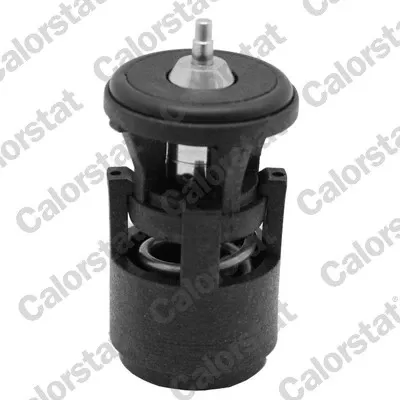 Termostato TH627487J Vernet