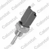 Sensor de temperatura do fluido de esfriamento Fiat 500 312