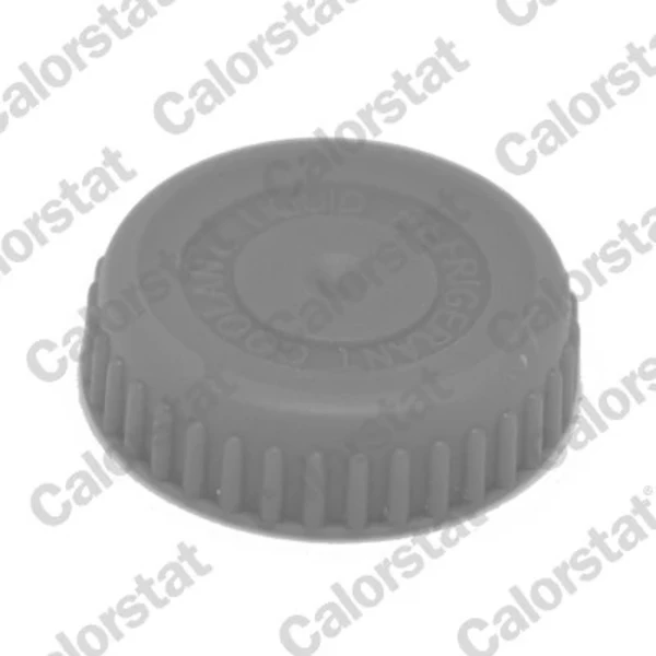 Tampa (tampão) do radiador para Nissan Primera (WP12)