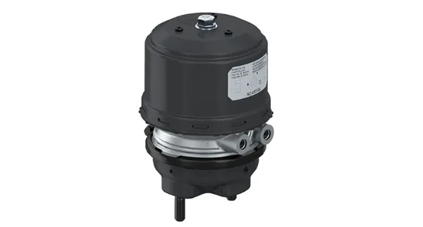 Câmara do freio (Acumulador de energia) 7420533192 Renault (RVI)