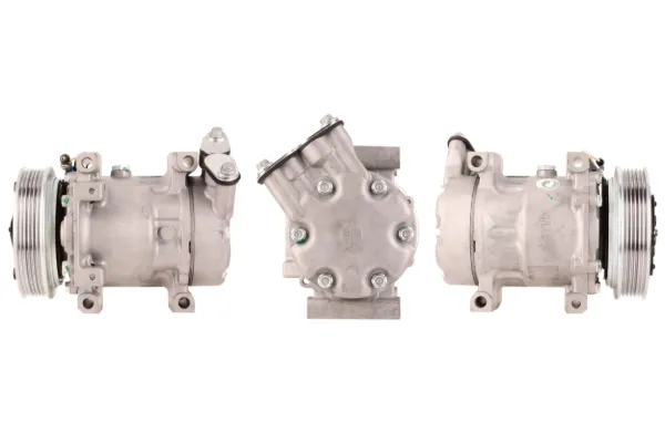 Compressor de aparelho de ar condicionado AC5 Cargo