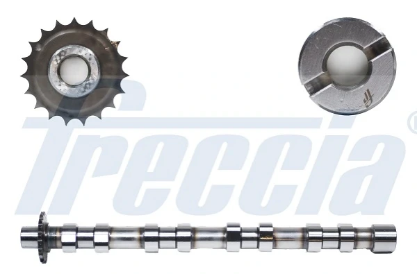 Árvore distribuidora de motor de admissão para Peugeot 307 (3B)