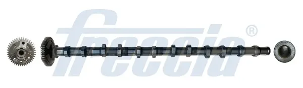 Árvore distribuidora de motor de admissão BMW X5 E70