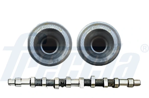 Árvore distribuidora de motor para Peugeot 405 (4E)