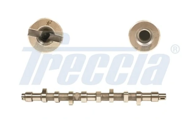 Árvore distribuidora de motor para Peugeot 406 (8B)