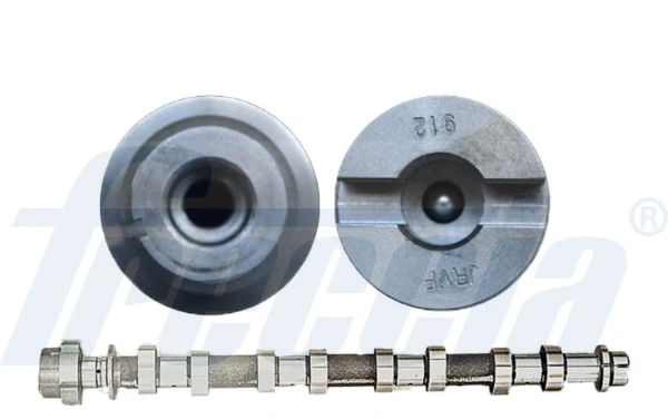 Árvore distribuidora de motor de admissão para Renault Latitude (L7)