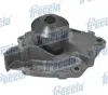 Bomba de água (bomba) de esfriamento Renault Laguna II
