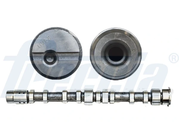 Árvore distribuidora de motor para Ford C-Max (CB3)