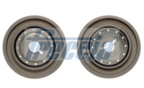 Polia de cambota para Renault Megane (EM0)