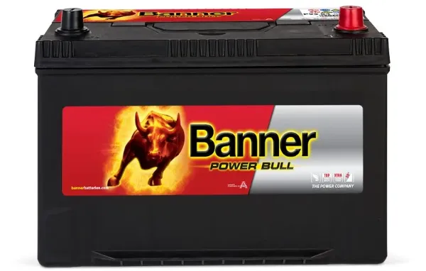 Bateria recarregável (PILHA) 013595040101 Banner