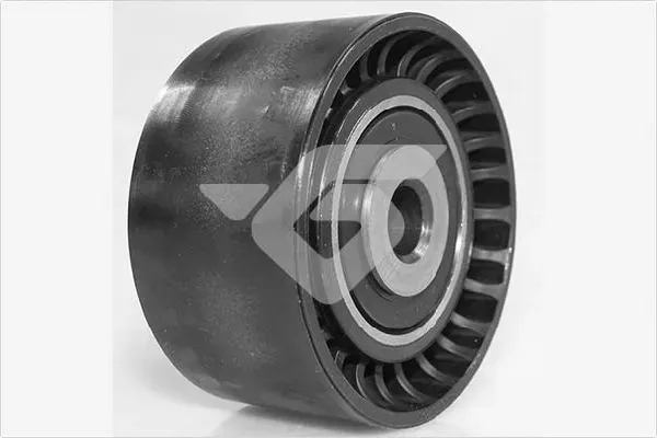 Rolo parasita da correia de transmissão T0631 Hutchinson