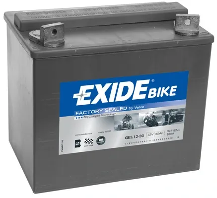 Bateria recarregável (PILHA) GEL1230 Exide
