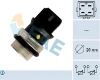 33640 FAE