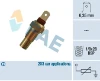 31570 FAE