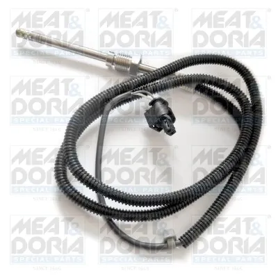 Sensor de temperatura dos gases de escape (GE), no catalisador 12123 Meat&Doria