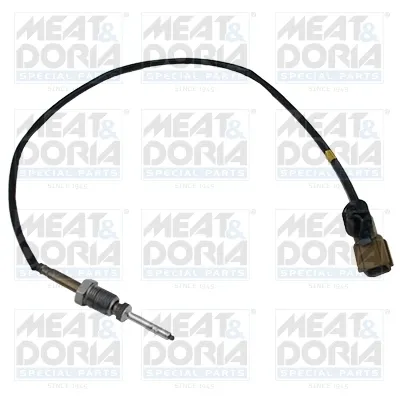 Sensor de temperatura dos gases de escape (GE), até o catalisador 12467 Meat&Doria