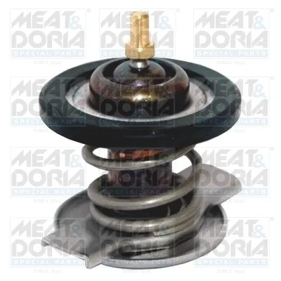 Termostato Mercedes GL X164