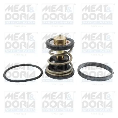 Termostato 92971 Meat&Doria