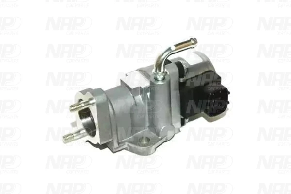 CAV10160 NAP