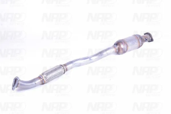 CAK10849 NAP