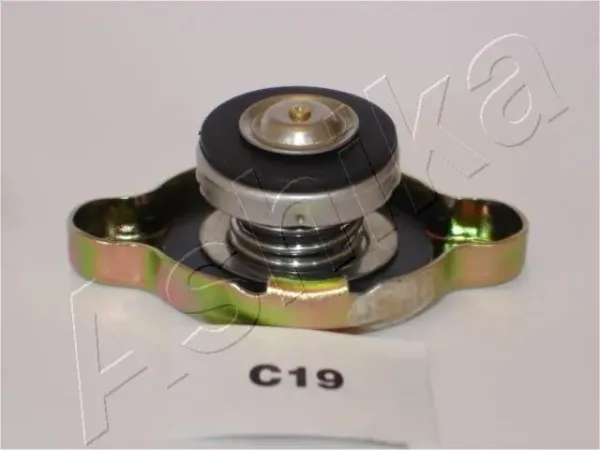 330CC19 Ashika