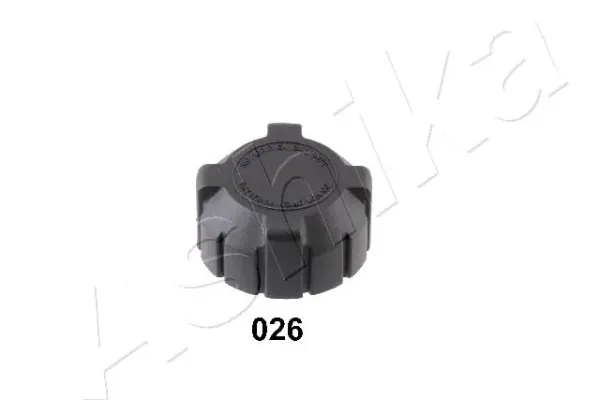 Tampa (tampão) do tanque de expansão para Fiat Ducato II 230L