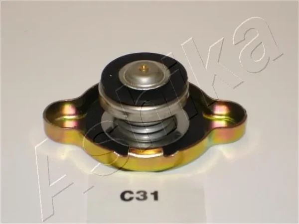 330CC31 Ashika