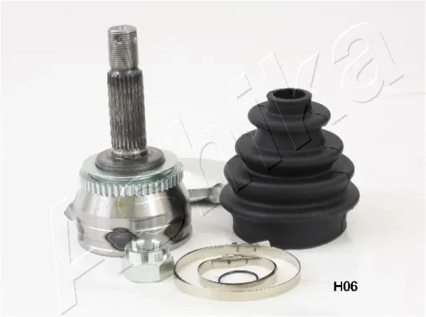 620HH06 Ashika