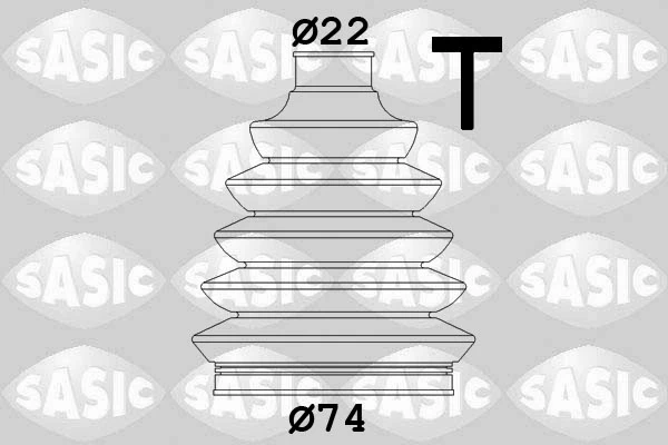 1900011 Sasic