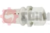 SS29 Seim