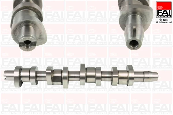 C248C FAI