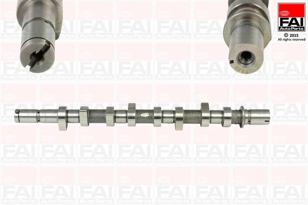 C253 FAI