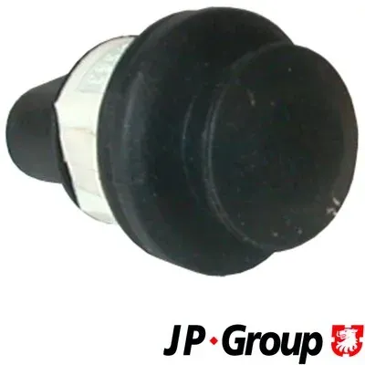 Sensor de fechamento de portas (interruptor de fim de carreira) 1196500300 JP Group