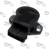 84169 Sidat