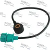 84033 Sidat