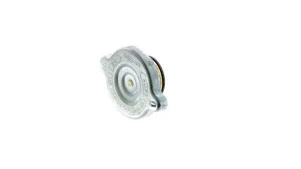 CRB14000P Mahle Original