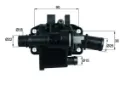 TH4283 Mahle Original