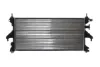 Radiador de esfriamento de motor Peugeot Boxer 250
