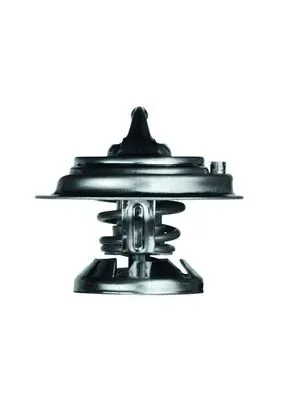 TX2975D Mahle Original