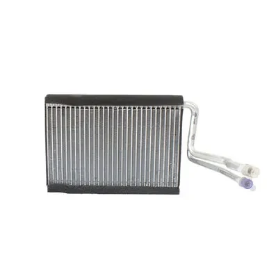 AE113000S Mahle Original