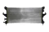 Radiador de esfriamento de motor Fiat Ducato 3 250