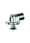 Termostato Mercedes ML/GLE W163