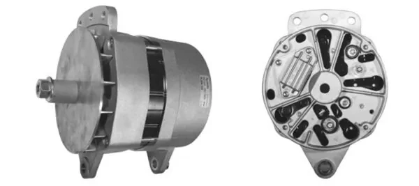 MG304 Mahle Original